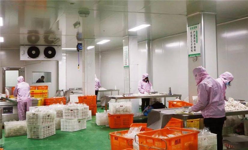 从同安到赤锡 赤银科技农产品加工厂的成长之路