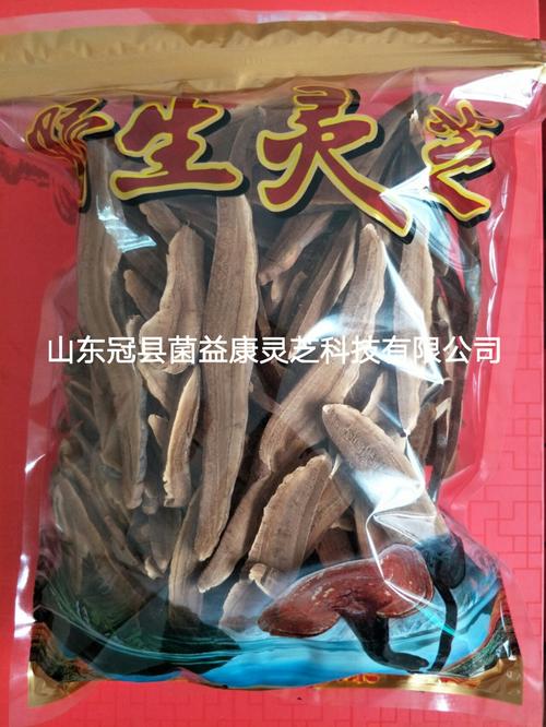 冠县店子镇灵芝示范养殖基地 菌益康科技与靖广龙、赤银科技共筑产业新篇